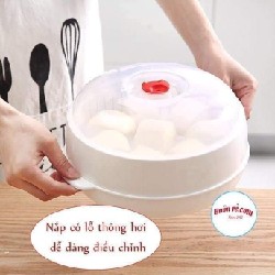 BỘ KHAY HẤP LÒ VI SÓNG 2 TẦNG VIỆT NHẬT 22725