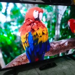 [Tivi Wifi 43" - Độ phân giải 4K - Lướt Youtube Cực nhanh] Thanh lý 9850