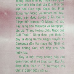 Đại Ấn - Thiền xoá tan bóng tối của vô minh / Karmapa thứ chín Wangchug Dorje 162789