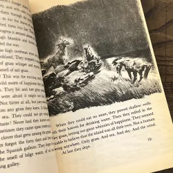 Misty of Chincoteague 972859