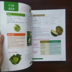 [Sách Y Học] Trái Cây Chữa Bệnh + Rau Củ Chữa Bệnh - Món Ăn Bài Thuốc Full Color 1002974
