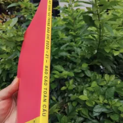 Đổi mới sáng tạo báo chí 2020 - 21 báo cáo toàn cầu 995515