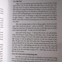 Ngành công nghiệp mắc ca trên thế giới và những bài học cho Việt Nam 654656