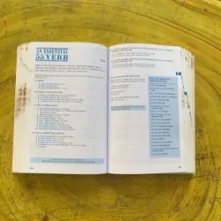 501 SPANISH VERBS - BARRON’S 1029363