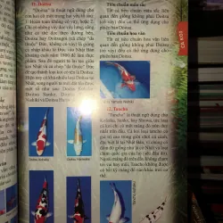 Kỹ thuật nuôi cá chép Koi - cá xiêm - cá rồng - cá dĩa - cá vàng - cá bảy màu 745842