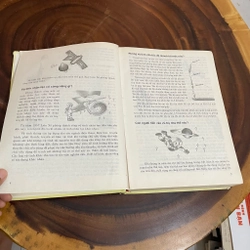II Từ Điển: Bách Khoa Tri Thức Thiếu Nhi - 2003 461964