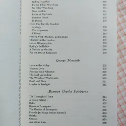 THE PRE-RAPHAELITES AND THEIR CIRCLE - Cecil Y. Lang 961648