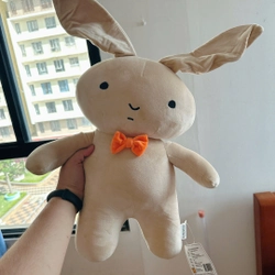 Plush Thỏ Bông