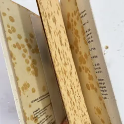 Chú chiếu bóng, nhà ảo thuật, tay đánh bài, và tụi con nít xóm nhỏ Sài Gòn năm ấy 597624