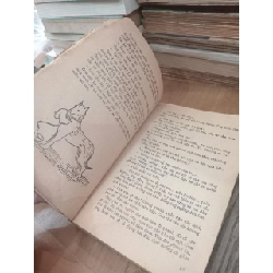 NHỮNG CUỘC PHIÊU LƯU KỲ LẠ CỦA KARIK VÀ VALIA - IAN LARI