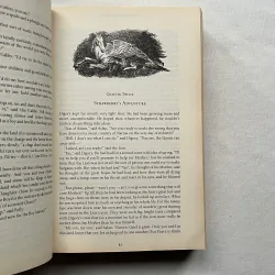 The Chronicles of Narnia  960684