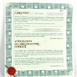 Đồng hồ Rolex Datejust 79173NGR SSxYG tự động K - Hàng hiệu chính hãng 874669