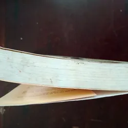 Người đua diều 720106