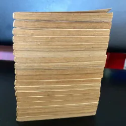 truyện tranh Bá tước tiểu thư (tên gốc: The Countess)  996319