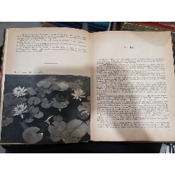 Belles Fleurs De Nos Jardins 708458