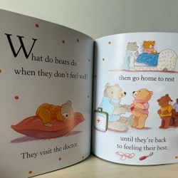 📗The Beginner's Guide to Bears 527353