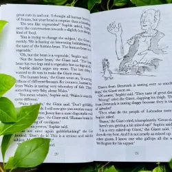 Sách - Roald Dahl 24 quyển có file mp3 full boxset tặng audio + film 1024190