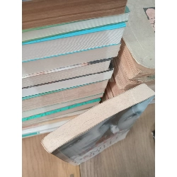 Chị em gái - Danielle Steel 929125