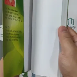 Trầu Không Xanh Lá - Cao Thanh Mai 798319