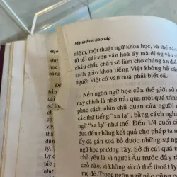 TIẾNG VIỆT VĂN VIỆT NGƯỜI VIỆT - CAO XUÂN HẠO 1042740