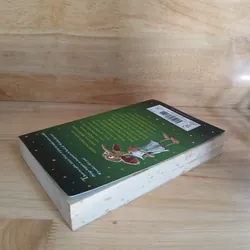 Harry Potter And The Chamber Of Secrets 706071