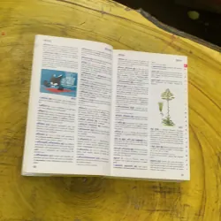 DICTIONNAIRE LE ROBERT  BENJAMIN CP-CE 6.8 ans & JUNIOR 8/11 ans  CE-CM ILLUSSTRE 747358