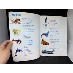 Khám Phá Đại Dương - Bách Khoa Tri Thức, Mới 70% (Quăn Giấy Nhẹ), 2022 SBM2407 450553