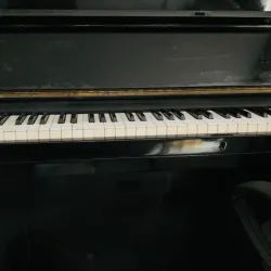 Đàn Piano Cơ của Nhật 751644