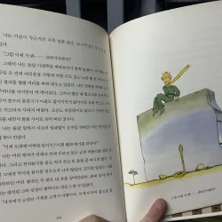 어린왕자 Hoàng tử bé 1010866