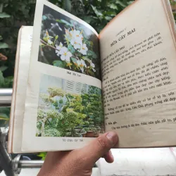 Kỹ Thuật Trồng Và Ghép Mai - Huỳnh Văn Thới 928913