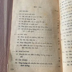 Giải phẫu sinh lý vệ sinh trẻ em tuổi nhà trẻ và mẫu giáo 608351