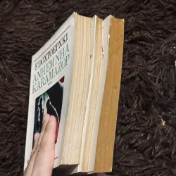 Combo Dos: Anh em Karamazov + Đêm Trắng (bao cấp) 1024184