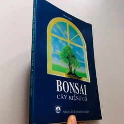BONSAI CÂY KIỂNG CỔ 509623