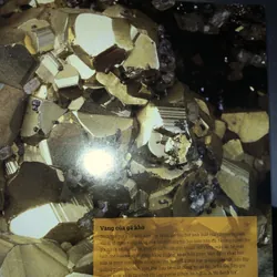 Đá quý và khoáng sản - Bách khoa toàn thư bằng hình ảnh với hơn 1000 mẫu vật  718393