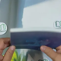 Bông Lục Bình - Mạnh Hà 798483