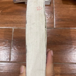 Văn hóa và lịch sử các dân tộc trong nhóm ngôn ngữ Thái Việt Nam (6) 538887