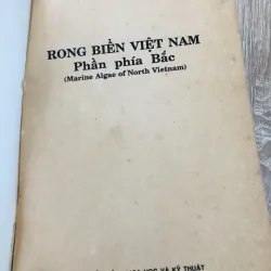 RONG BIỂN VIỆT NAM ( Phần phía Bắc) 956975
