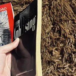 Combo 2c Đặng Anh Đào 1022447