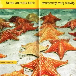 National geographic (Sách nhập) - Pre K - 30 quyển + File Mp3 759648