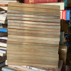 Truyện tranh 20q Conan Thám tử lừng danh 536588