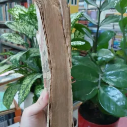 NGƯỜI ĐÀN BÀ TRONG TƯỚNG MỆNH HỌC - VŨ TÀI LỤC 748761