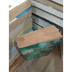 Moon sworn - Keri Arthur 704070