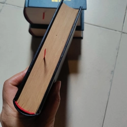 Lịch sử Việt Nam 518568