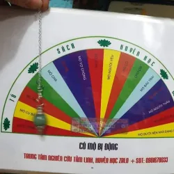 Sáng cảm xạ đồ 1046471