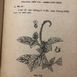 Cây thuốc và bài thuốc trị bảy bệnh thông thường – Nhiều tác giả 998411