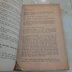 VIỆT NAM DƯỚI THỜI PHÁP ĐÔ HỘ - NGUYỄN THẾ ANH 752984
