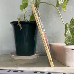 Nỗi nhục - Annie Ernaux 746492