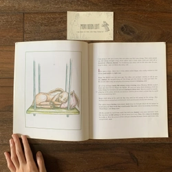 Sách ngoại văn The Rabbit Who Wants to Fall Asleep, Used 418250