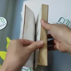 Đọc Hồi Ký Của Các Tướng Tá Sài Gòn - Cao Tự Thanh 928596