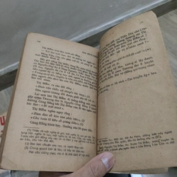 Nam Hải Dị Nhân 528203